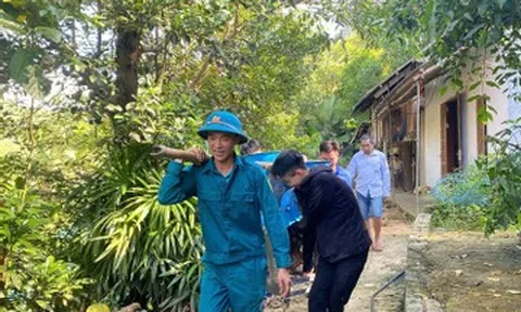 Lở núi vùi lấp tỉnh lộ, Nghệ An di dời khẩn cấp hàng loạt hộ dân