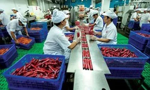 Một doanh nghiệp sắp chi hơn 1.500 tỷ đồng để di dời nhà máy khỏi TP.HCM