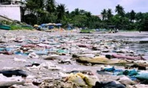 Rác tràn vào bờ biển Mũi Né nhiều 'kinh hoàng', con người rải xuống, biển trả lại?