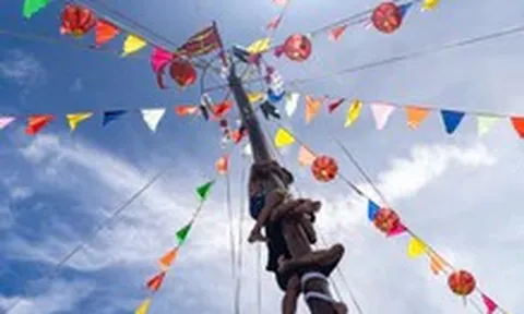 Leo cột mỡ ở Lễ hội Nghinh Ông, nhóm thanh niên Cần Giờ giành giải thưởng hơn 22 triệu đồng