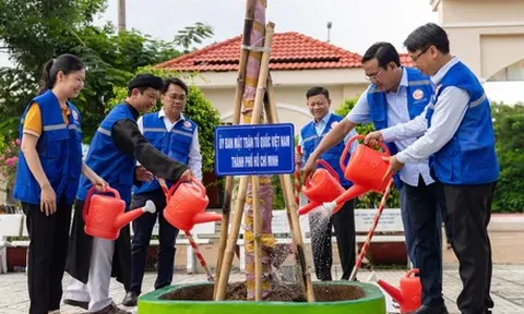 Cần Giờ có vườn thuốc nam vừa là lớp học xanh, vừa chăm sóc sức khỏe cộng đồng