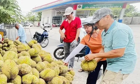 Giá cả đầu ngày: Sầu riêng hạ giá, gạo huyết rồng ổn định, hàng nhãn riêng giảm đến 42%