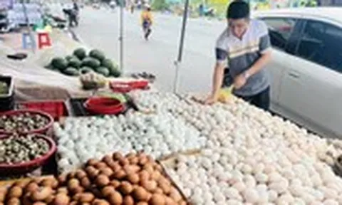 Giá cả đầu ngày: Trứng giảm, gà vịt quê lên mạng, xoài hữu cơ bán được giá