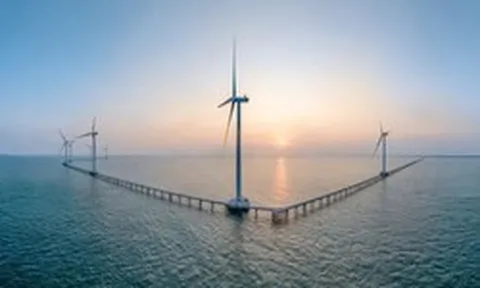 REE Energy cùng thành viên của Xuân Cầu Holdings đề xuất dự án điện gió 200 MW tại Cần Thơ