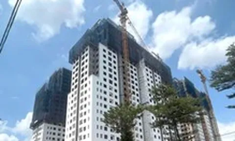 Bán 'chui' 682 căn hộ rồi ngưng thi công, một chủ đầu tư ở TP.HCM bị phạt 900 triệu đồng