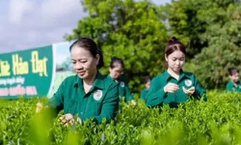 Mô hình 'Hợp tác xã xã hội chủ nghĩa' ở Thái Nguyên có gì đặc biệt?
