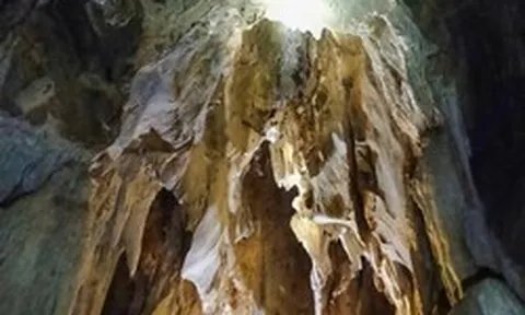 Phát hiện hang động nhiều tầng trong rừng nguyên sinh ở Nghệ An