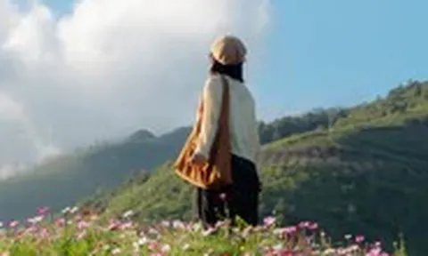 Khu vườn hoa bươm bướm ở Tà Xùa nở rộ, du khách rủ nhau check-in