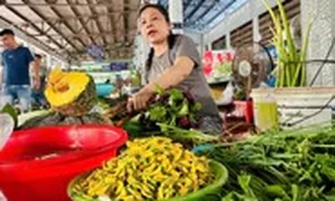 Giá cả đầu ngày: Rau đồng vào mùa, bông điên điển tăng giá; mãng cầu xiêm 90.000 đồng/kg