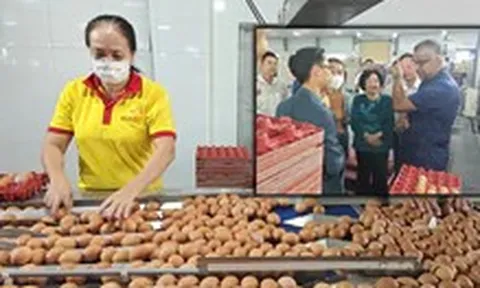 Công ty Ba Huân nợ hơn 600 tỉ đồng, bị xiết nợ hàng chục 'dãy chuồng gà'
