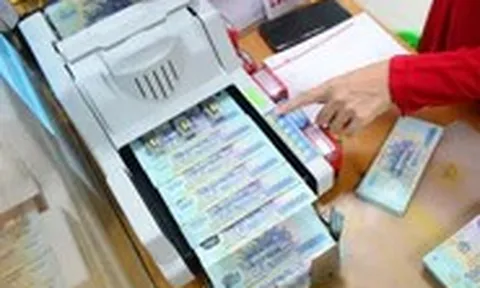 Nợ khó đòi, nhiều ngân hàng rao bán từ nhà đất, cây xăng, trường mầm non, chuồng gà...