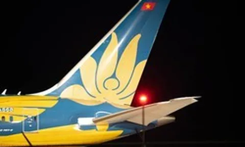 Cái đuôi máy bay Việt Nam khiến người Canada trầm trồ: Được khen đẹp nhất trong những chiếc Boeing 787-9 từng nhìn thấy