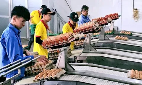 Ba Huân vướng nợ nần: Gia đình bà Ba Huân nói 'đã bán hết cổ phần, không liên quan các khoản nợ'