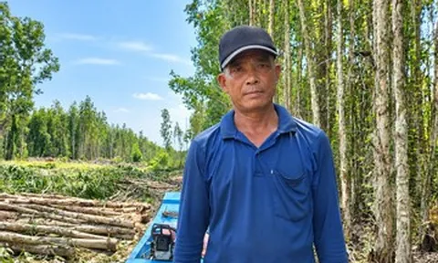 Cha đốn tràm thuê ban đêm, ngày rong ruổi tìm con gái lớp 8 mất tích