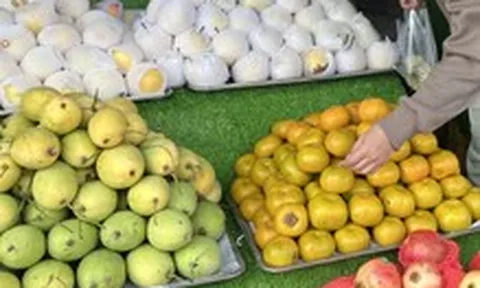 Giá cả đầu ngày: Cua biển xuống giá, người TP.HCM tranh thủ mua tận vựa; Hồng Đà Lạt về miền Tây giá từ 40.000 đồng/kg
