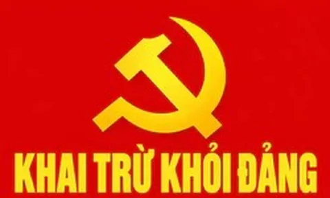 Nguyên Phó trưởng Phòng TN&MT ở Quảng Ngãi bị khai trừ khỏi Đảng