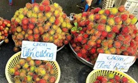 Giá cả đầu ngày: Cuối vụ, mận An Phước, chôm chôm Tiến Cường được giá