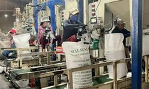 Doanh nghiệp xuất khẩu gạo được giảm điều kiện, bỏ lệ phí, rút thời gian cấp giấy