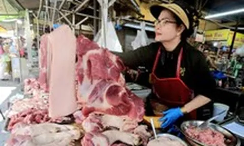 Giá cả đầu ngày: Khô cá đồng vào mùa, xà lách xoong tăng giá, heo hơi giảm còn 53.000 đồng/kg