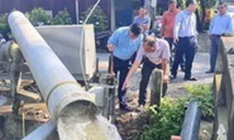 Bình Lợi nâng cấp hạ tầng thủy lợi, bảo vệ hơn 600ha mai vàng