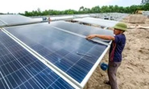 EVN muốn đàm phán lại giá mua điện, loạt doanh nghiệp điện gió, điện mặt trời xoay xở lo nợ xấu