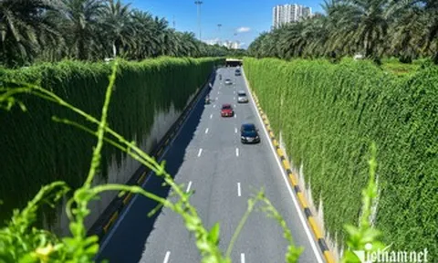 Hà Nội thí điểm phủ xanh trụ đường sắt, hầm chui, cầu vượt