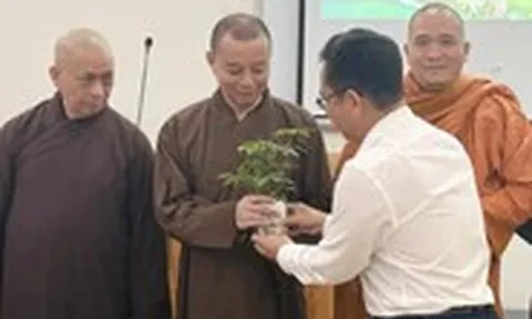 Các cơ sở tôn giáo góp sức tạo những 'điểm xanh' cho TP.HCM