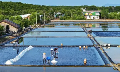 Sản xuất muối Thiềng Liềng tại TP.HCM được công nhận nghề truyền thống