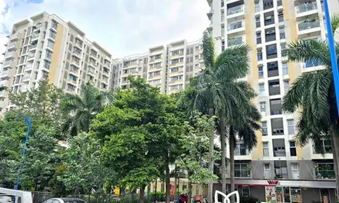 Ở chung cư nhiều năm, chưa từng được thông báo nộp thuế đất