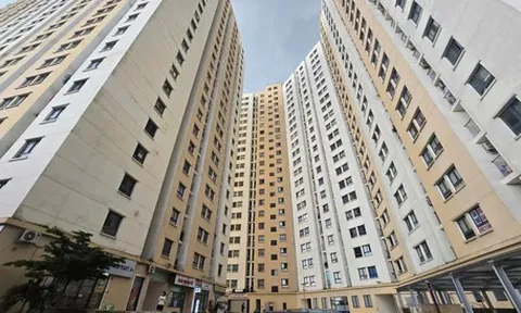 'Nỗi khổ' thu nhập trên 50 triệu: Vượt chuẩn mua nhà ở xã hội, không với tới nhà thương mại