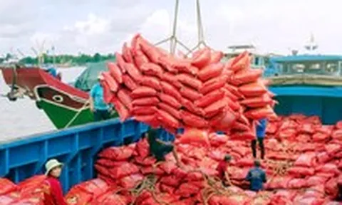Tin tức sáng 9-10: Ai được sử dụng nhãn hiệu 'Gạo Việt Nam'?