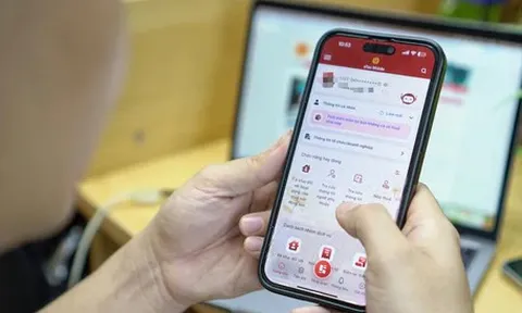 Sẽ không tạm hoãn xuất cảnh với người bị mạo danh lập doanh nghiệp