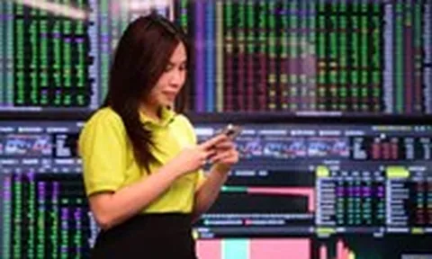 Các công ty bảo hiểm lớn đang rót tiền vào chứng khoán như thế nào?