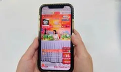 Shopee cùng doanh nghiệp địa phương đưa sản phẩm OCOP lên nền tảng số