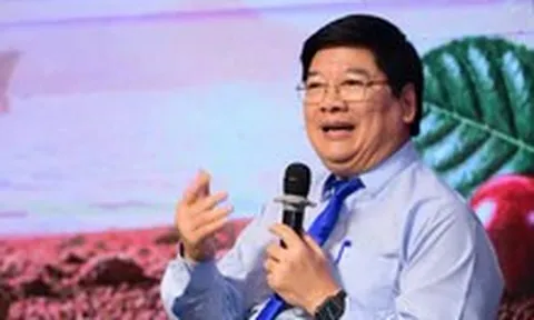 Muốn Robusta Việt có thương hiệu riêng, ai sẽ đứng ra làm?