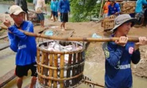 Giá cả đầu ngày: Giá cá tra, cá linh cùng giảm nhẹ, siêu thị tung khuyến mãi 20-10