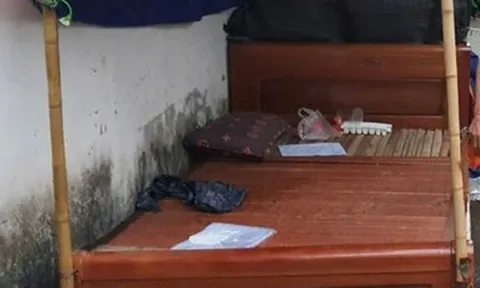 Người phụ nữ kê giường, chuồng chó chặn lối vào thửa đất đã bị phát mại ở Hà Nội