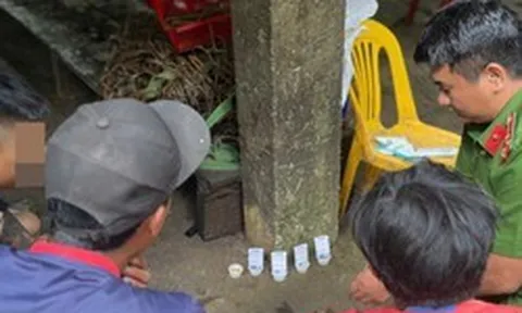 Công an bất ngờ kiểm tra 39 người tại các vườn sâm Ngọc Linh