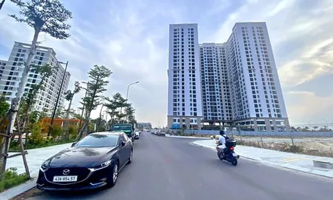 Đà Nẵng muốn đặt tên đường Trí tuệ nhân tạo, Vi mạch bán dẫn, Đổi mới sáng tạo