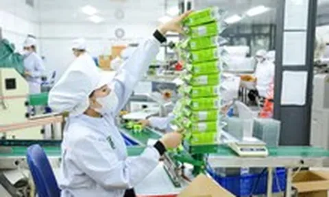 Ngày Doanh nhân Việt Nam 13-10: Tính toán giảm thủ tục, hỗ trợ voucher cho doanh nghiệp