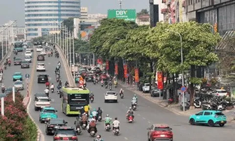 Cận cảnh những hàng hoa sữa nở trắng trời 'bủa vây' người Hà Nội