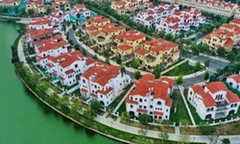 Công ty bất động sản lãi đột biến 1.000 tỷ đồng, gấp 327 lần cùng kỳ trong quý 3/2026 nhờ một dự án