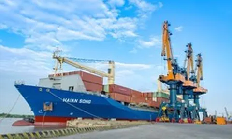 Chủ nhân 20 tàu container lớn nhất Việt Nam tính chi thêm 70 triệu USD đóng 2 tàu mới: Chờ 3 năm mới nhận, giữa lúc tàu cũ đắt gần bằng tàu mới