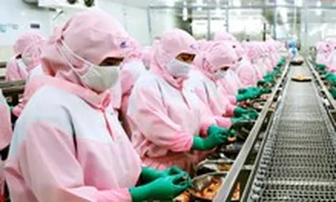 Chuyện lạ: Doanh nghiệp miền Tây đề xuất nhập khẩu lao động, nên không?