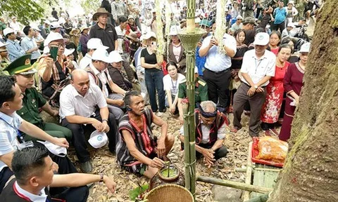 'Sức mạnh mềm' thúc đẩy du lịch qua lăng kính văn hóa ẩm thực
