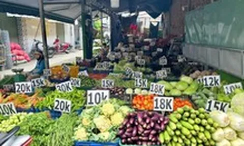Giải bài toán 4 tỉ USD nông sản 'bốc hơi' trên đường ra chợ bằng cách nào?