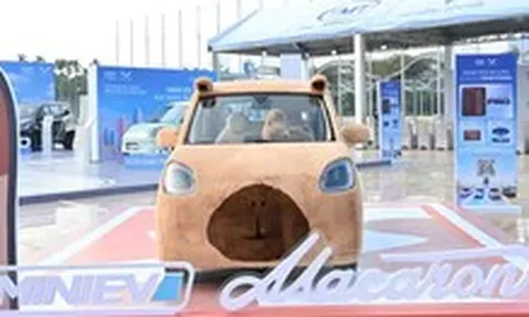 Giới thiệu loạt xe điện của Trung Quốc tại Việt Nam, rẻ nhất gần 300 triệu đồng đi được 200 km