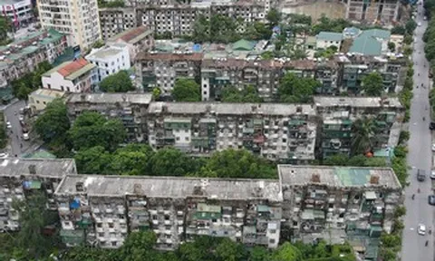 Chung cư gần 50 năm tuổi ở Nghệ An trơ cốt thép, rễ cây bám kín tường
