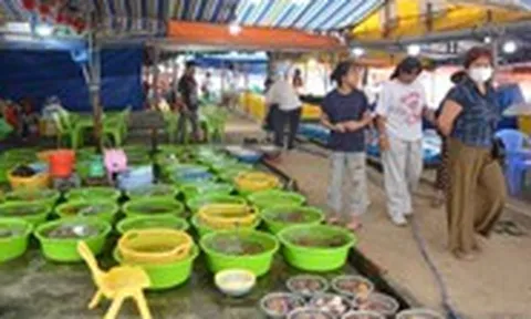 Mũi Né lên kế hoạch chỉnh trang lại khu chợ Làng chài