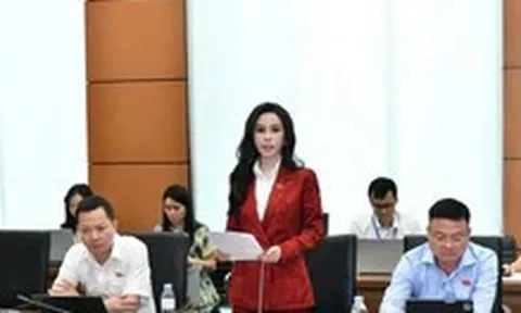 Đại biểu lo nâng tiền đặt cọc đấu giá bất động sản lên 50% làm hạn chế người mua có nhu cầu thực